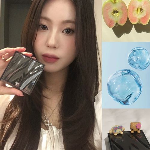 님의 업로드 이미지12