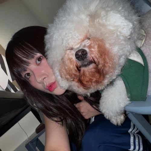 님의 업로드 이미지2