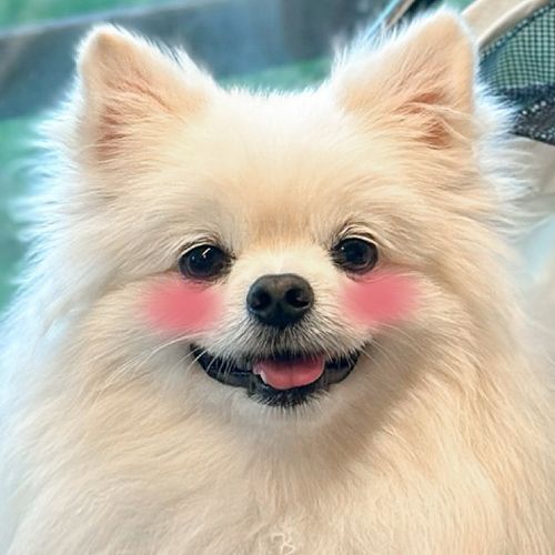 님의 업로드 이미지0