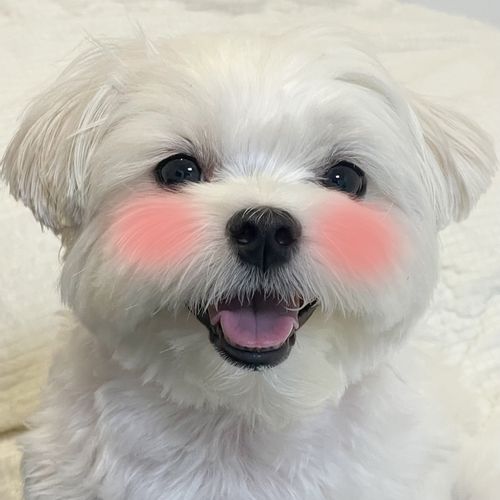님의 업로드 이미지2