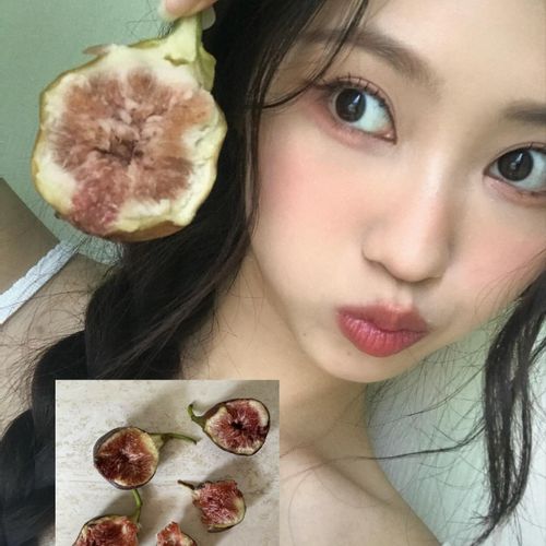 님의 업로드 이미지2