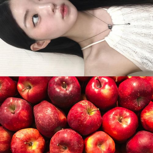님의 업로드 이미지2