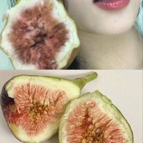 님의 업로드 이미지3