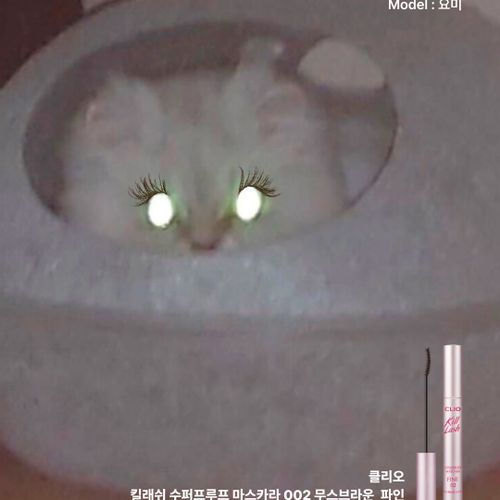님의 업로드 이미지4