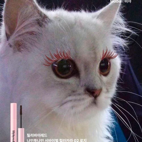 님의 업로드 이미지8