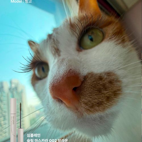 님의 업로드 이미지7