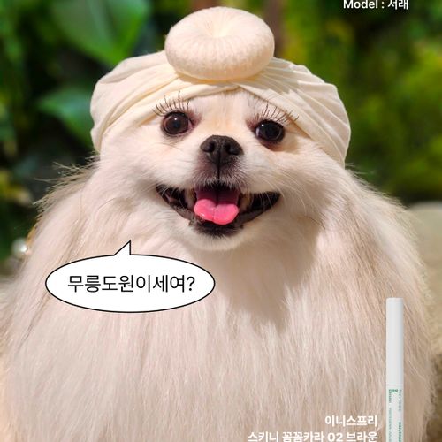 님의 업로드 이미지5