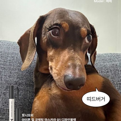 님의 업로드 이미지1