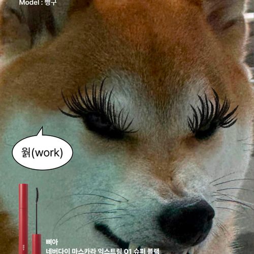 님의 업로드 이미지0
