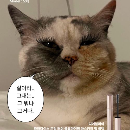 님의 업로드 이미지3