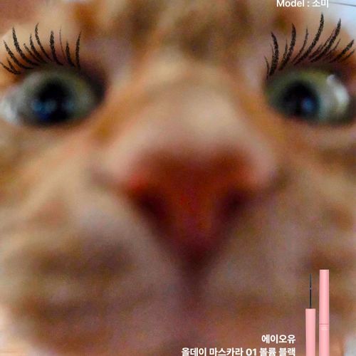 님의 업로드 이미지2