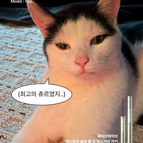 님의 업로드 이미지6