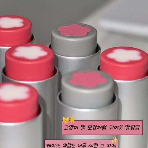 님의 업로드 이미지2