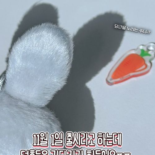 님의 업로드 이미지4