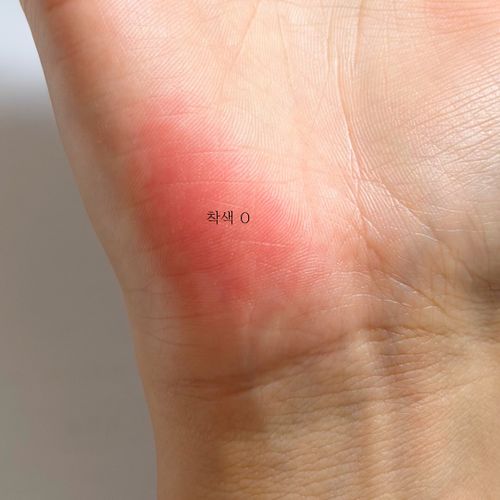 님의 업로드 이미지2