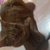 ****-6966님의 프로필 이미지